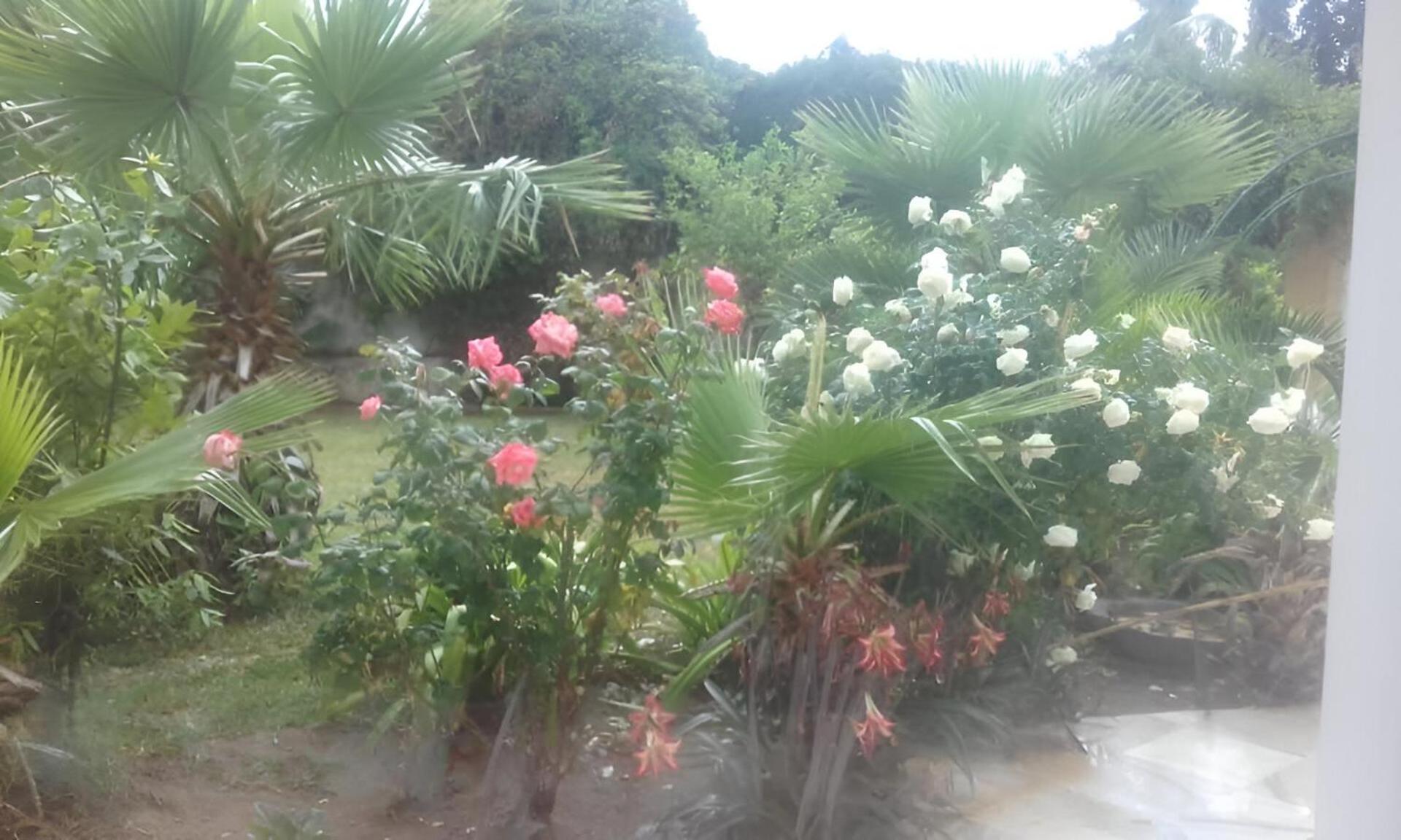 Au Bout Du Jardin Villa Kartago Bagian luar foto